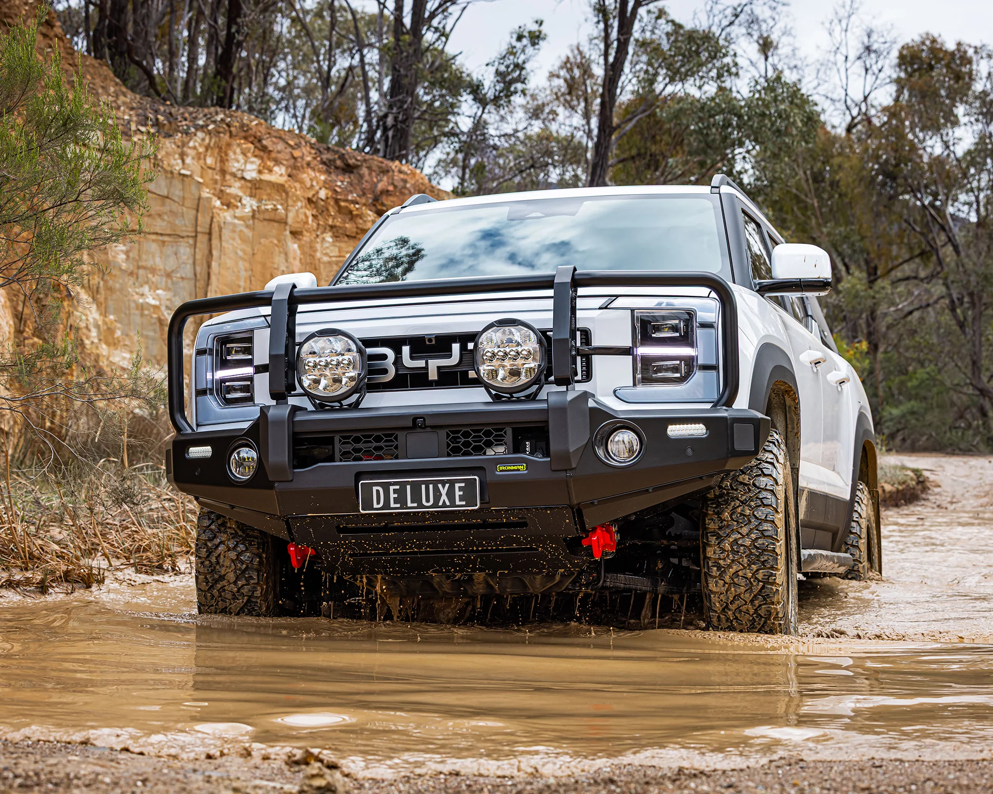 Deluxe Bull Bar
