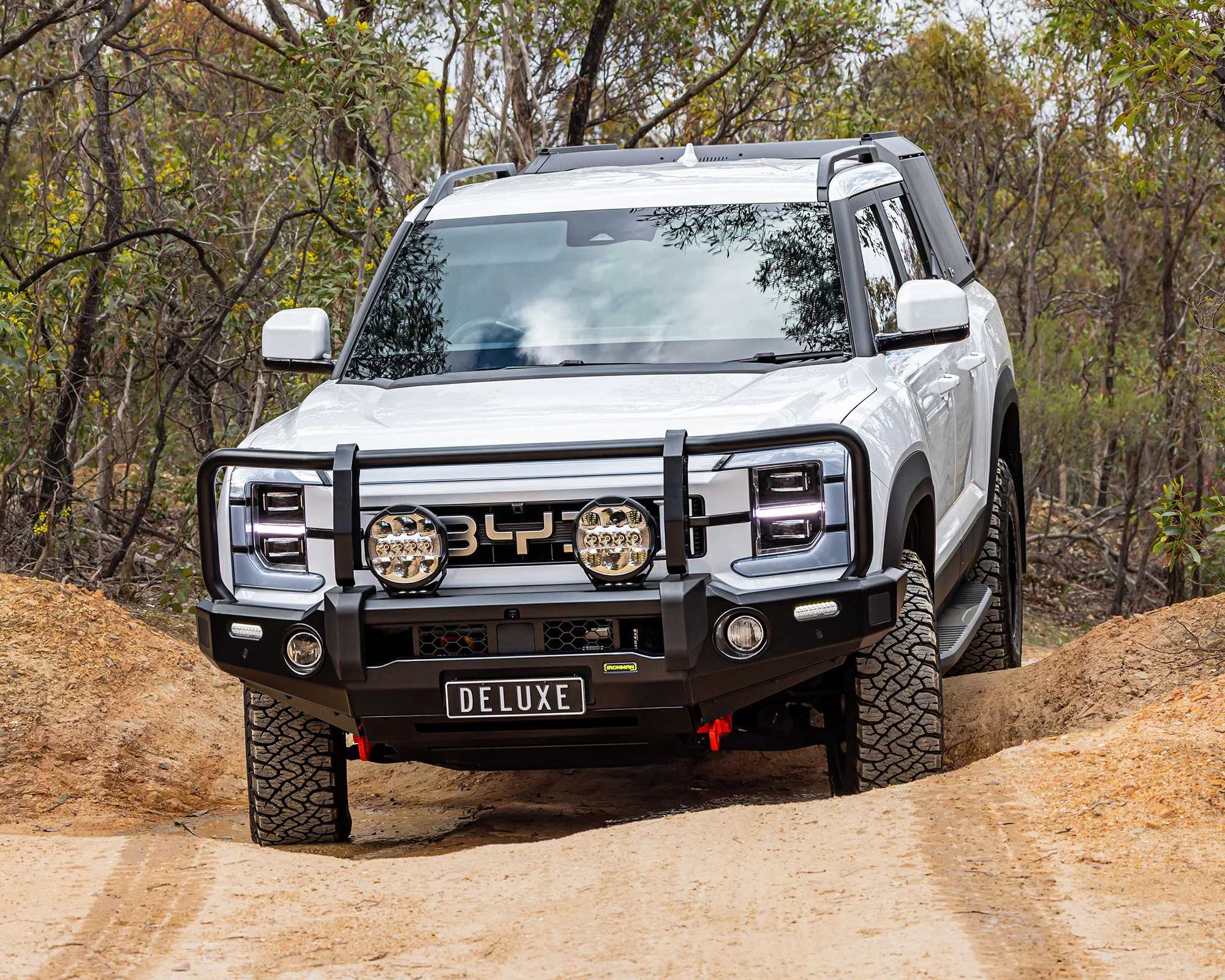 Deluxe Bull Bar - Image 3