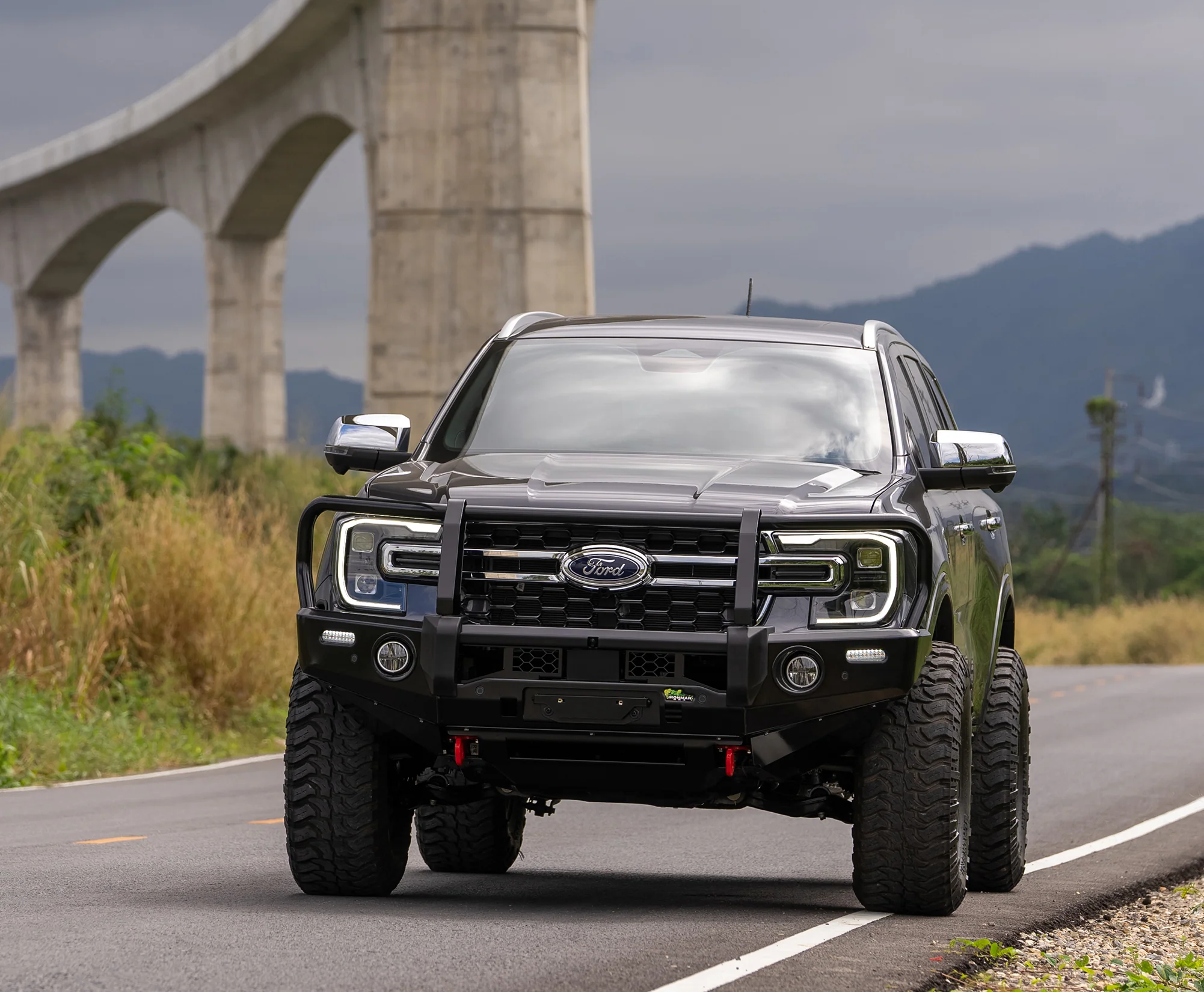 Deluxe Bull Bar - Image 2
