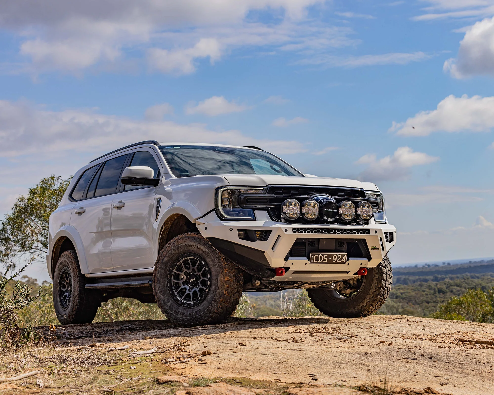Raid Bull Bar - Image 8