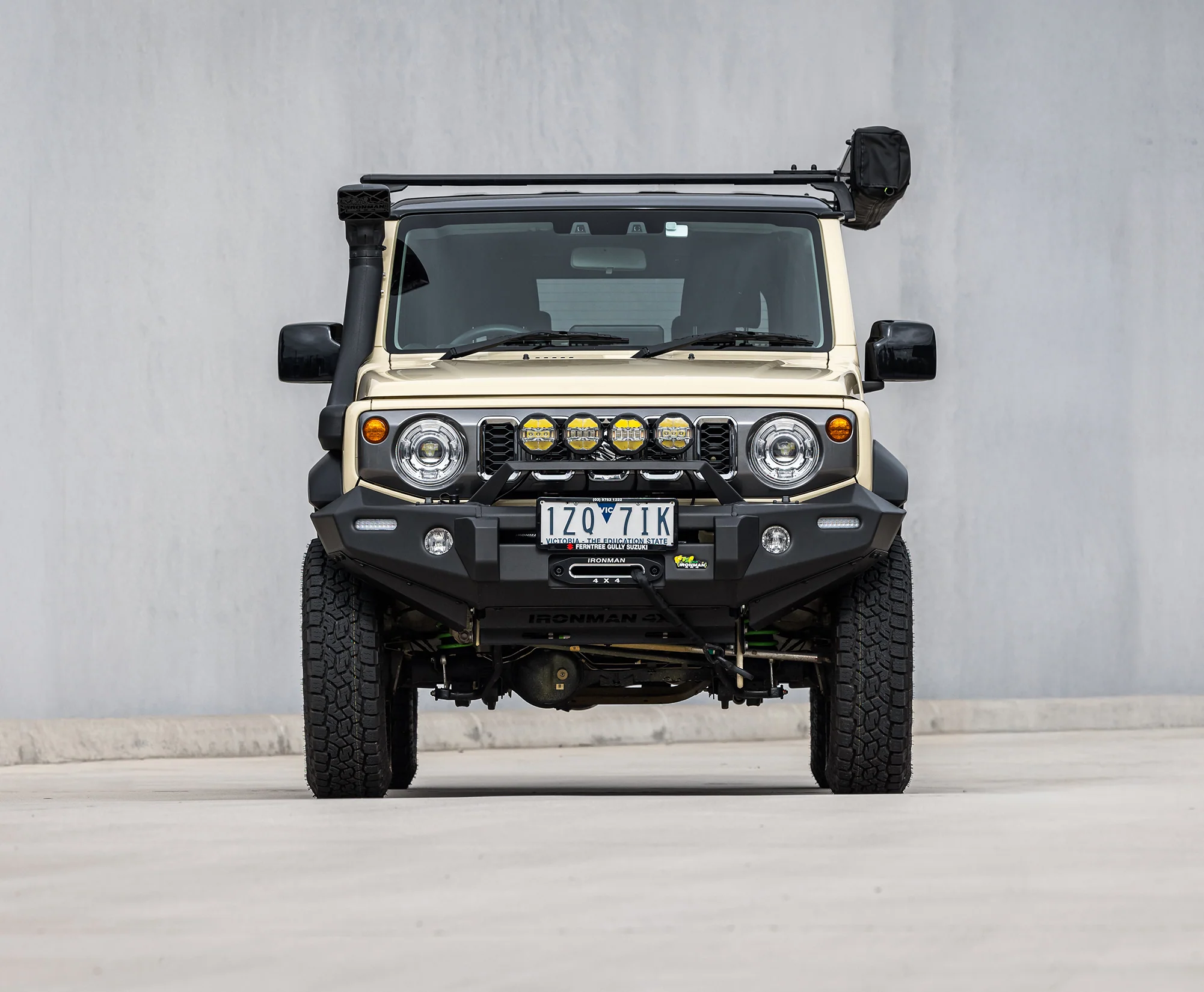 Special Bull Bar - Image 2